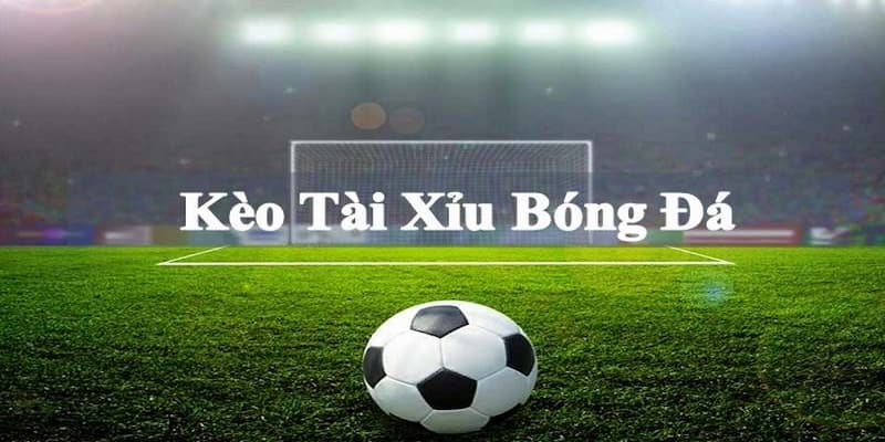 Kèo Tài Xỉu Là Gì? Kinh Nghiệm Đánh Kèo Cực Hay